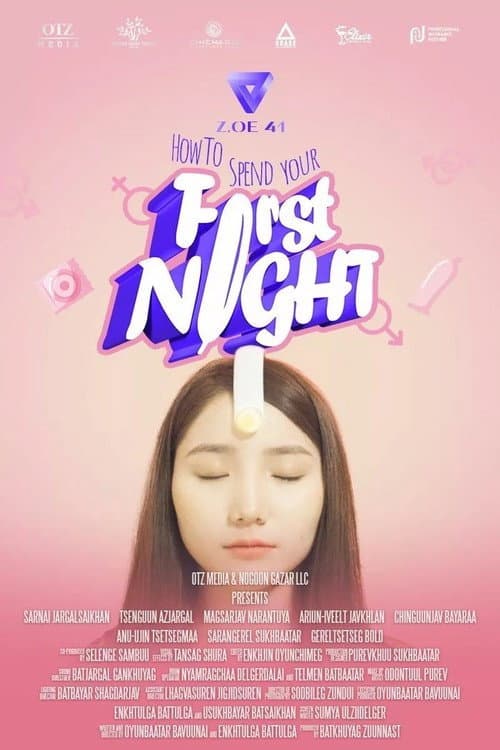 How To Spend Your First Night poster