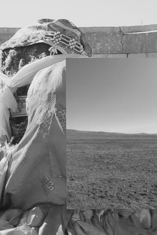 Petrogenesis, Petra Genetrix poster